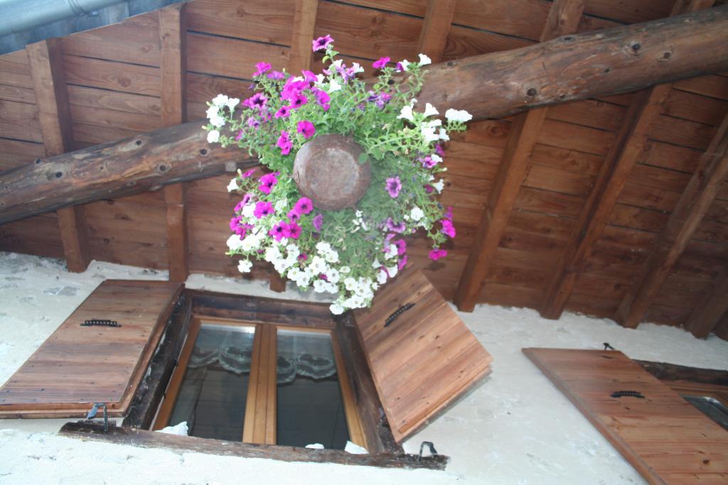 Chambre D'Hotes La Romarine Barnave Exteriör bild