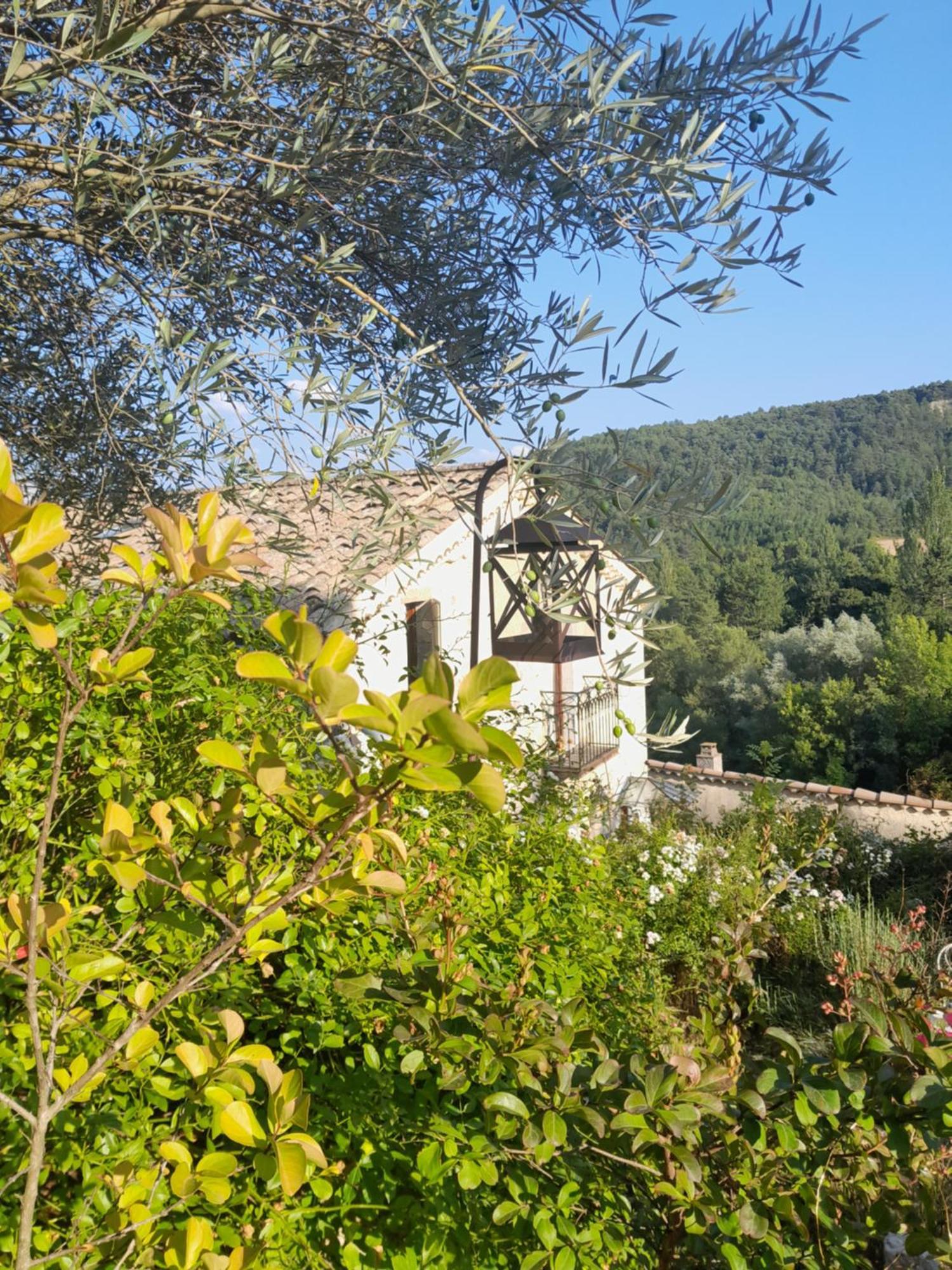Chambre D'Hotes La Romarine Barnave Exteriör bild